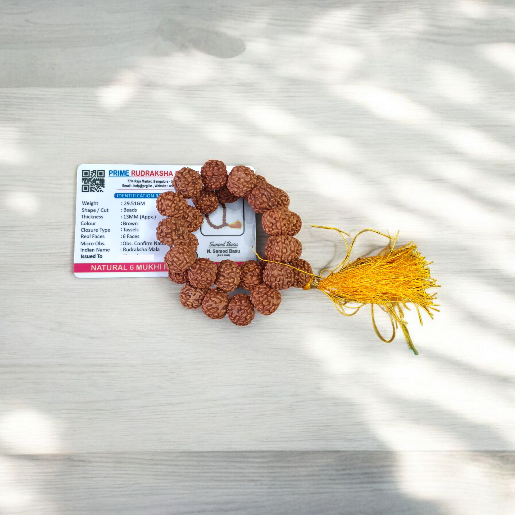 6 Mukhi Rudraksha Mala 27+1 Beads Lab Certified | Malawala