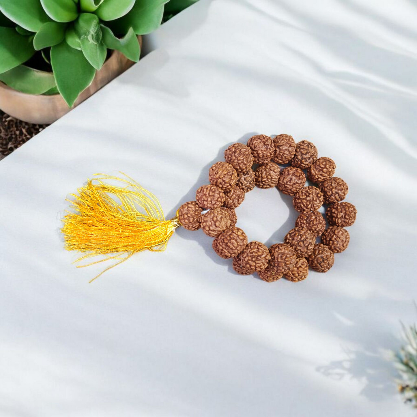 6 Mukhi Rudraksha Mala 27+1 Beads Lab Certified | Malawala