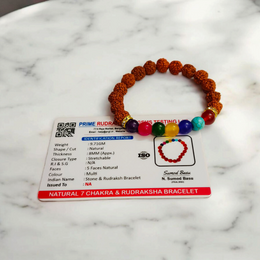 7 Chakra & Rudraksha Bracelet 8mm – Lab Certified by Malawala for Mindfulness & Protection
