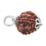 7 Mukhi Rudraksha Lab Certified - Natural Seven-Face Rudraksha for Goddess Lakshmi’s Blessings – Malawala