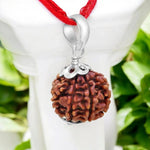 7 Mukhi Rudraksha Lab Certified - Natural Seven-Face Rudraksha for Goddess Lakshmi’s Blessings – Malawala