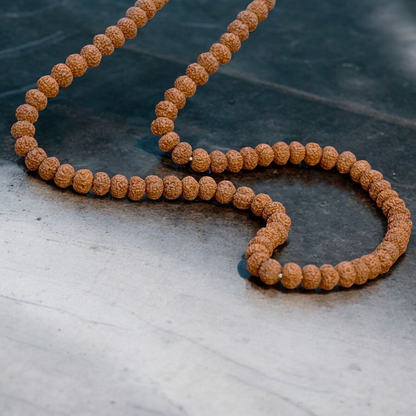 7 Mukhi Rudraksha Mala 108+1 Beads Lab Certified | Malawala