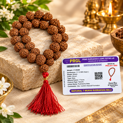 7 Mukhi Rudraksha Mala 27+1 Beads Lab Certified | Malawala