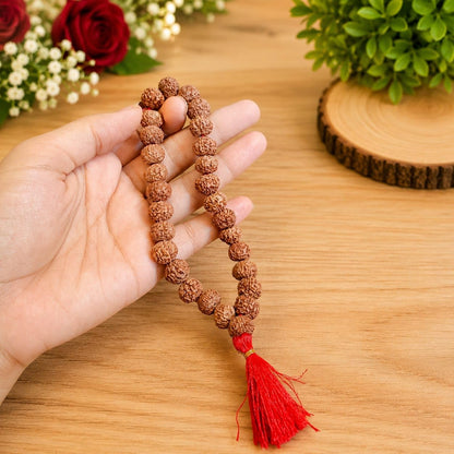 7 Mukhi Rudraksha Mala 27+1 Beads Lab Certified | Malawala