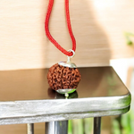 8 Mukhi Rudraksha Lab Certified - Natural Eight-Face Rudraksha for Ganesha’s Prosperity – Malawala