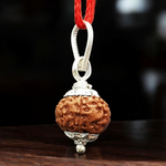 8 Mukhi Rudraksha Lab Certified - Natural Eight-Face Rudraksha for Ganesha’s Prosperity – Malawala