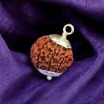 8 Mukhi Rudraksha Lab Certified - Natural Eight-Face Rudraksha for Ganesha’s Prosperity – Malawala