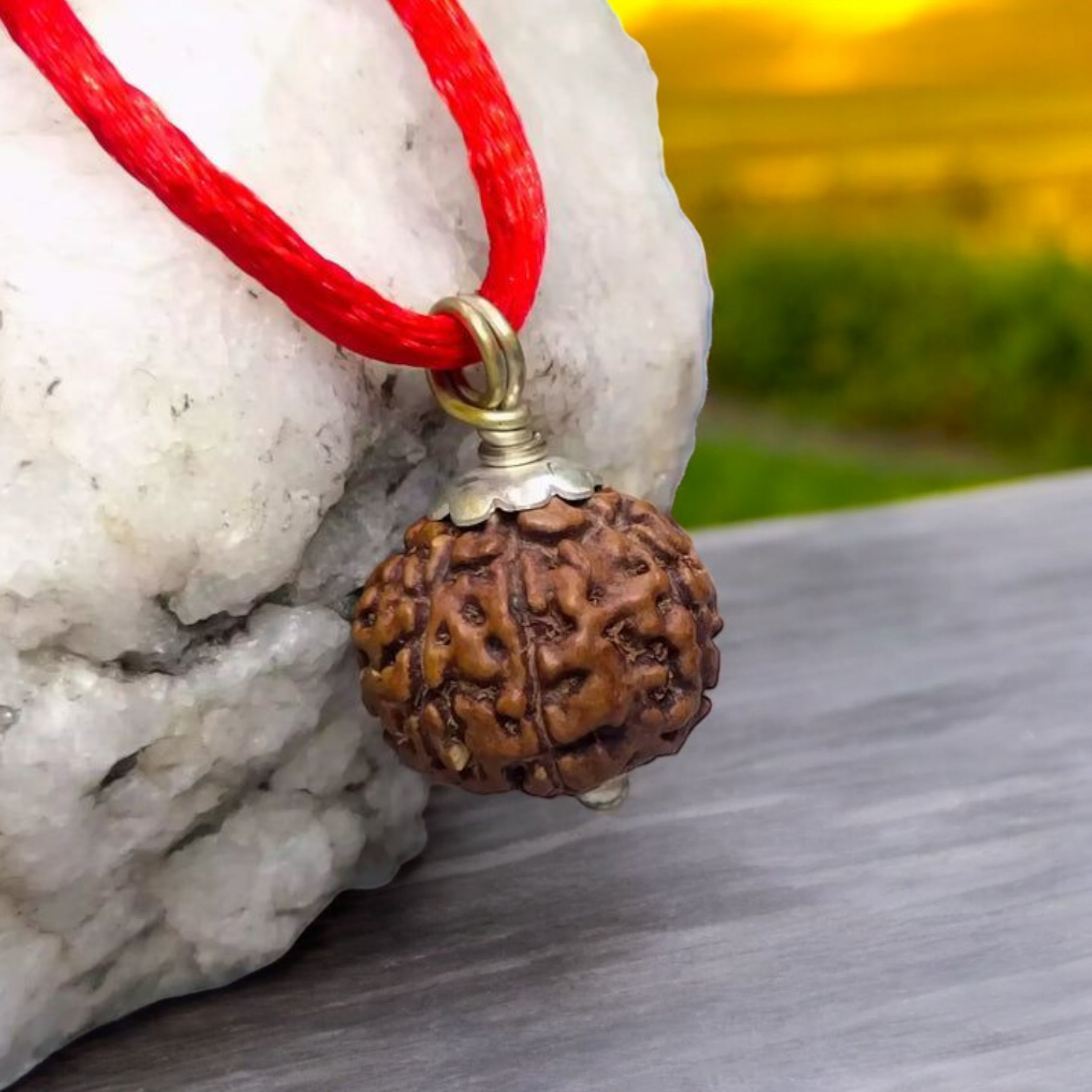 8 Mukhi Rudraksha Lab Certified - Natural Eight-Face Rudraksha for Ganesha’s Prosperity – Malawala