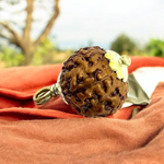 8 Mukhi Rudraksha Lab Certified - Natural Eight-Face Rudraksha for Ganesha’s Prosperity – Malawala
