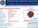 8 Mukhi Rudraksha Lab Certified - Natural Eight-Face Rudraksha for Ganesha’s Prosperity – Malawala