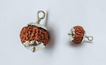 8 Mukhi Rudraksha Lab Certified - Natural Eight-Face Rudraksha for Ganesha’s Prosperity – Malawala