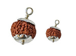 8 Mukhi Rudraksha Lab Certified - Natural Eight-Face Rudraksha for Ganesha’s Prosperity – Malawala