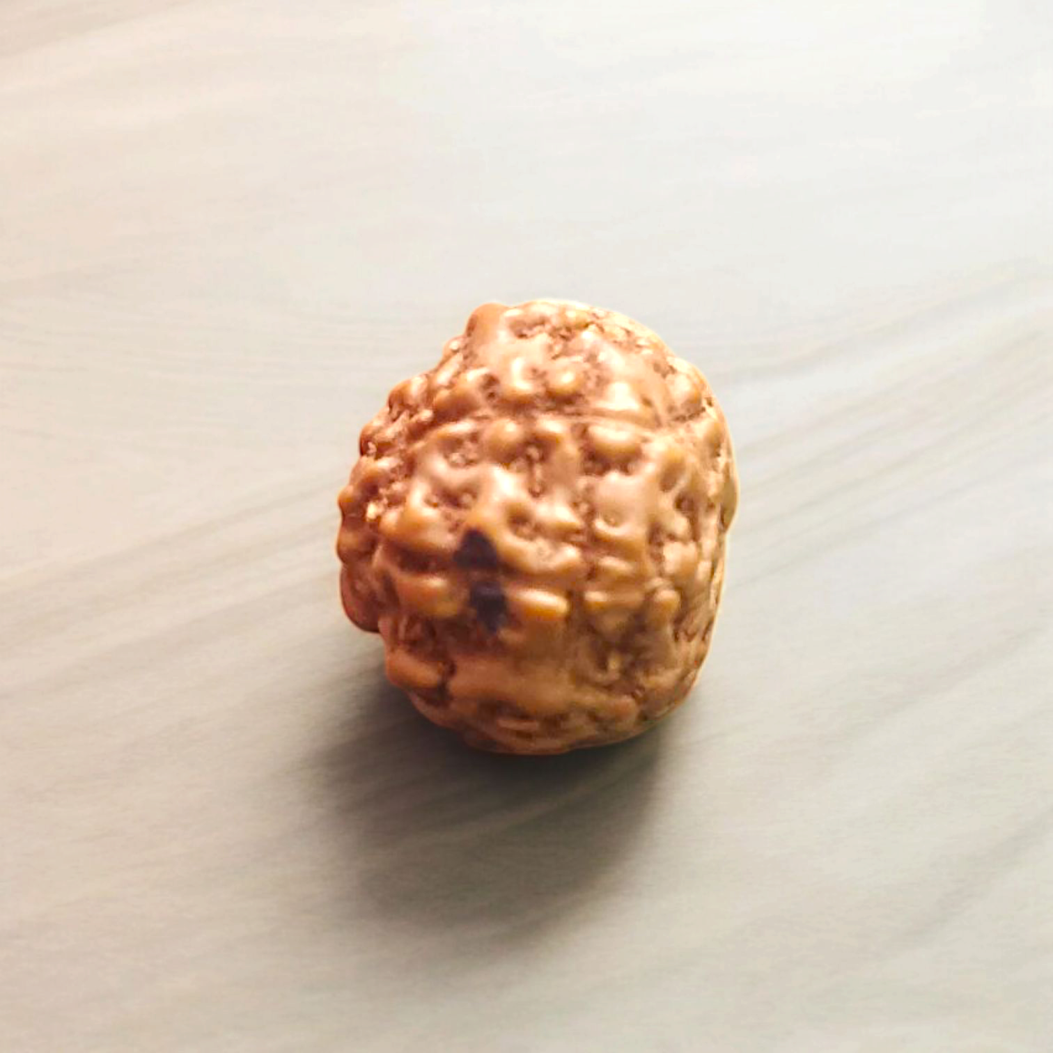 8 Mukhi Rudraksha Lab Certified - Natural Eight-Face Rudraksha for Ganesha’s Prosperity – Malawala