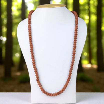 8 Mukhi Rudraksha Mala 108+1 Beads Lab Certified | Malawala