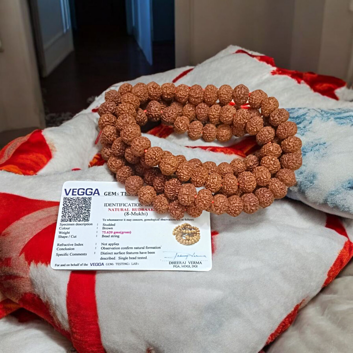 8 Mukhi Rudraksha Mala 108+1 Beads Lab Certified | Malawala