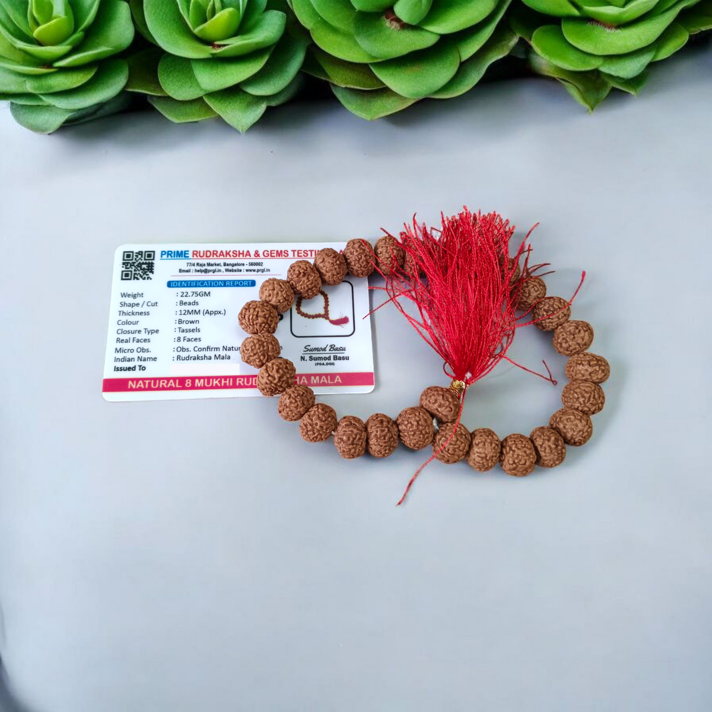 8 Mukhi Rudraksha Mala 27+1 Beads Lab Certified | Malawala