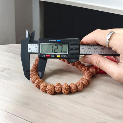 8 Mukhi Rudraksha Mala 27+1 Beads Lab Certified | Malawala
