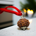 9 Mukhi Rudraksha Lab Certified - Natural Nine-Face Rudraksha for Durga’s Power – Malawala