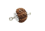 9 Mukhi Rudraksha Lab Certified - Natural Nine-Face Rudraksha for Durga’s Power – Malawala