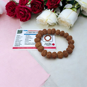 A Natural 8 Mukhi Rudraksha Bracelet made with 11mm round beads, hand-strung on elastic for comfort, symbolizing Lord Ganesha’s energy and protection