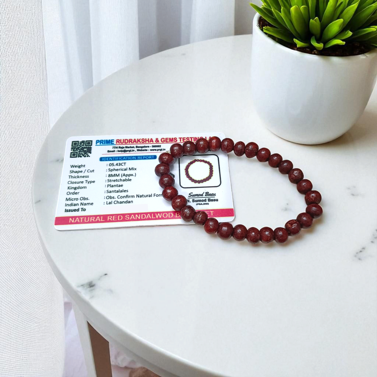 A Natural Red Sandalwood (Lal Chandan) Bracelet with 8mm polished beads, strung on stretchable thread, ideal for meditation and spiritual practice