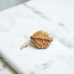 A combo set featuring a hand-knotted Rudraksha velvet Kanth Mala and a silver-capped 2 Mukhi Rudraksha pendant, both lab certified