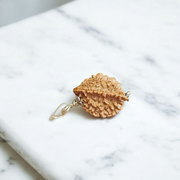 A combo set featuring a hand-knotted Rudraksha velvet Kanth Mala and a silver-capped 2 Mukhi Rudraksha pendant, both lab certified