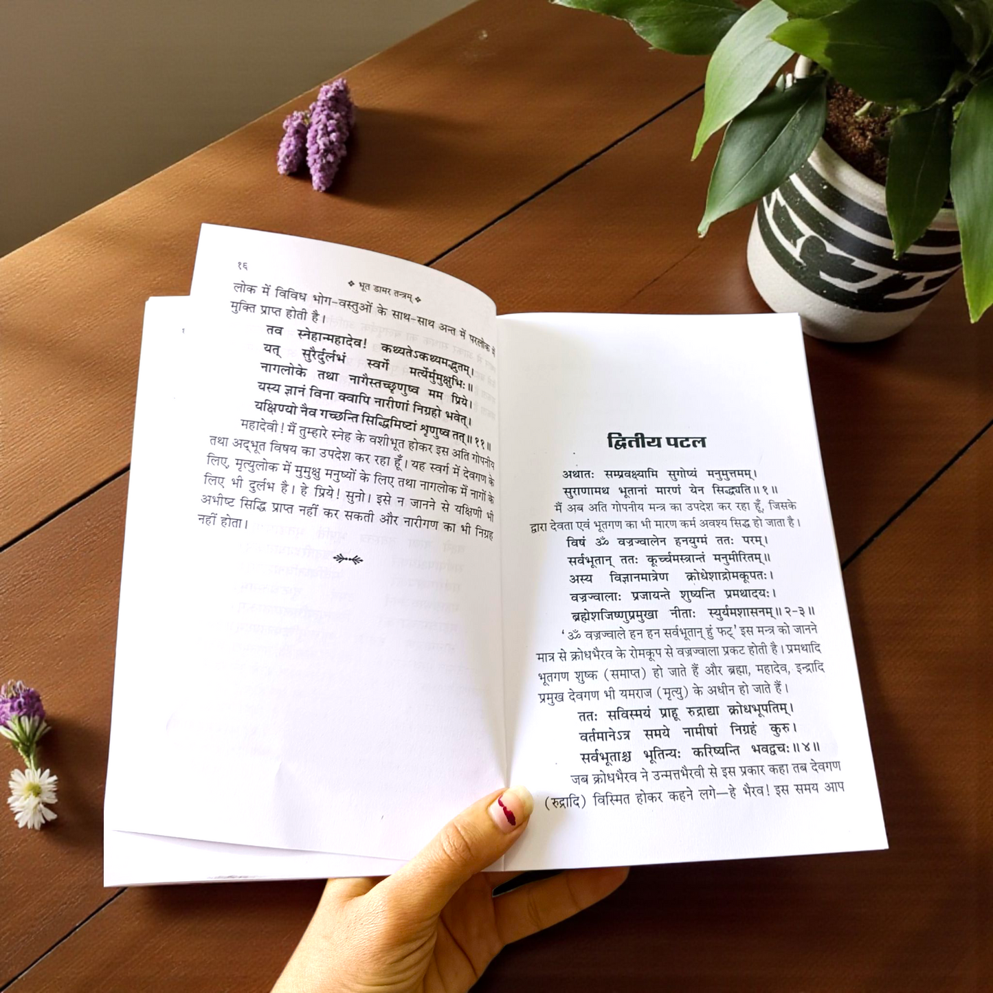 A sacred Bhoot Damar Tantram Aur Damar Tantra In Hindi Book by MALAWALA featuring Lord Shiva imagery, covering ancient tantric rituals and mantras in Hindi