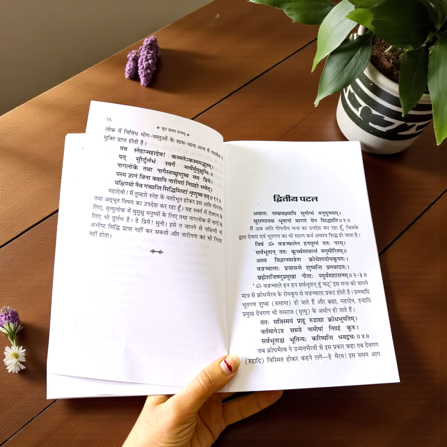 A sacred Bhoot Damar Tantram Aur Damar Tantra In Hindi Book by MALAWALA featuring Lord Shiva imagery, covering ancient tantric rituals and mantras in Hindi