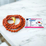 A spiritual combo featuring a 5 Mukhi Rudraksha Mala, a red velvet Pooja Aasan with golden border, and a traditional Gomukhi Japa Bag – all lab certified