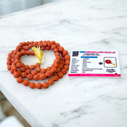 A spiritual combo featuring a 5 Mukhi Rudraksha Mala, a red velvet Pooja Aasan with golden border, and a traditional Gomukhi Japa Bag – all lab certified