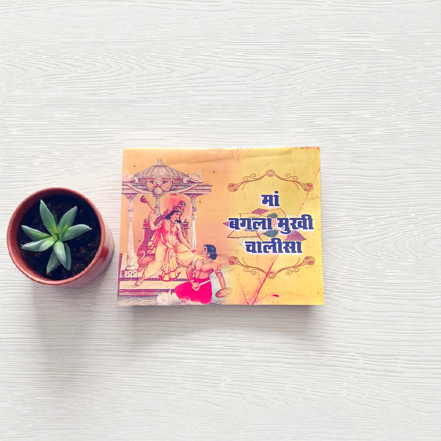 Baglamukhi Chalisa Hindi Book with image of Maa Baglamukhi and devotional symbols on the cover