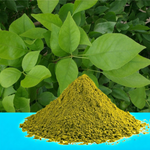 Bel Patta Powder – Pure and Natural for Spiritual and Medicinal Use – 100GM | Malawala