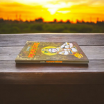 Bhajan Sangrah – Hindi Devotional Book Featuring 200+ Bhajans & 15+ Aartis – Malawala