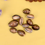 Black Cowry for Puja – Sacred Shell for Spiritual Rituals and Protection - Set of 5 | Malawala