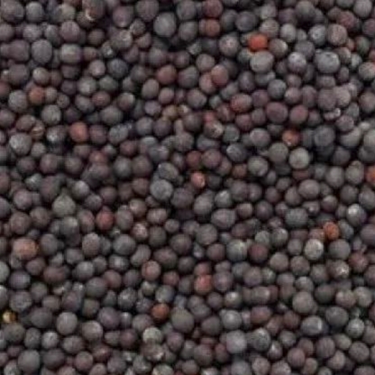 Black Mustard Seeds – Powerful Ingredient for Pooja, Spiritual Remedies, and Health Benefits | Malawala