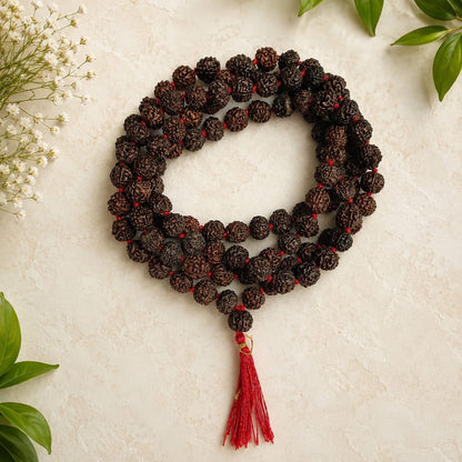 Black Rudraksha Mala 8MM 108+1 Beads Lab Certified | Malawala