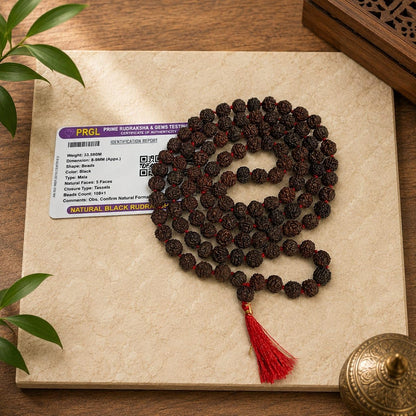 Black Rudraksha Mala 8MM 108+1 Beads Lab Certified | Malawala