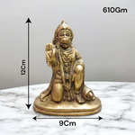 Brass Hanuman Ji Murti | Hanuman Ji Idol | Malawala