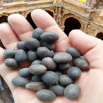 Close-up of natural Kamal Gutta (lotus seeds), lab-certified, displayed on a white background with subtle spiritual elements