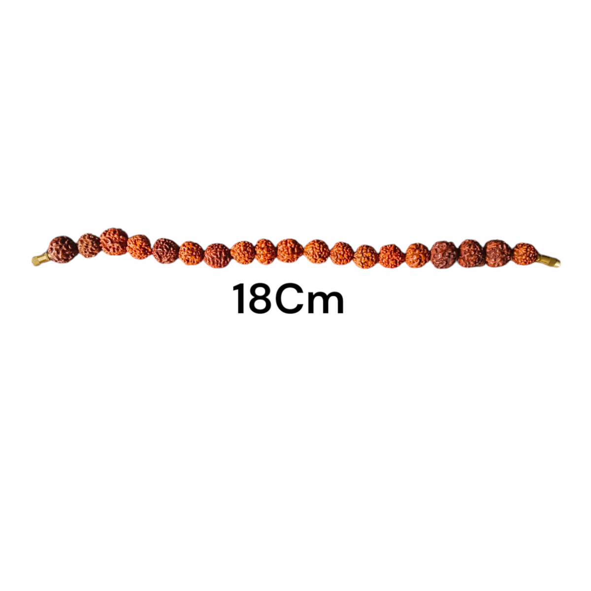 Close Up View of 5 Mukhi Rudraksha Bracelet Lab Certified Rudraksha Beads