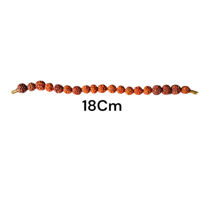 Close Up View of 5 Mukhi Rudraksha Bracelet Lab Certified Rudraksha Beads