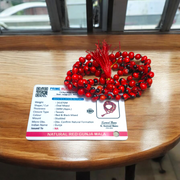 Combo Natural Lal Gunja Mala | Red Chirmi Beads Mala and Red Gunja Bracelet – Natural Lal Gunja Ka Bracelet – Lab Certified – Malawala