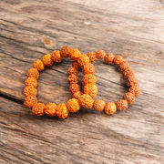Combo of Rudraksha Bracelet 5 Mukhi | Rudraksha Bracelet - Lab Certified - Malawala