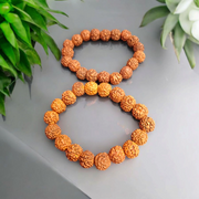 Combo of Rudraksha Bracelet 5 Mukhi | Rudraksha Bracelet - Lab Certified - Malawala