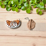 Combo pack of 1 Mukhi and 2 Mukhi Rudraksha beads, lab certified, placed on a white background with a spiritual aura