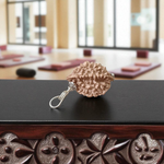 Combo pack of 1 Mukhi and 2 Mukhi Rudraksha beads, lab certified, placed on a white background with a spiritual aura