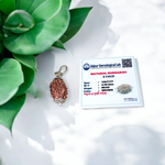 Combo pendant featuring 1 Mukhi and 3 Mukhi Rudraksha beads, lab certified, set in a sleek metal cap design for spiritual use