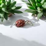 Combo pendant featuring 1 Mukhi and 3 Mukhi Rudraksha beads, lab certified, set in a sleek metal cap design for spiritual use