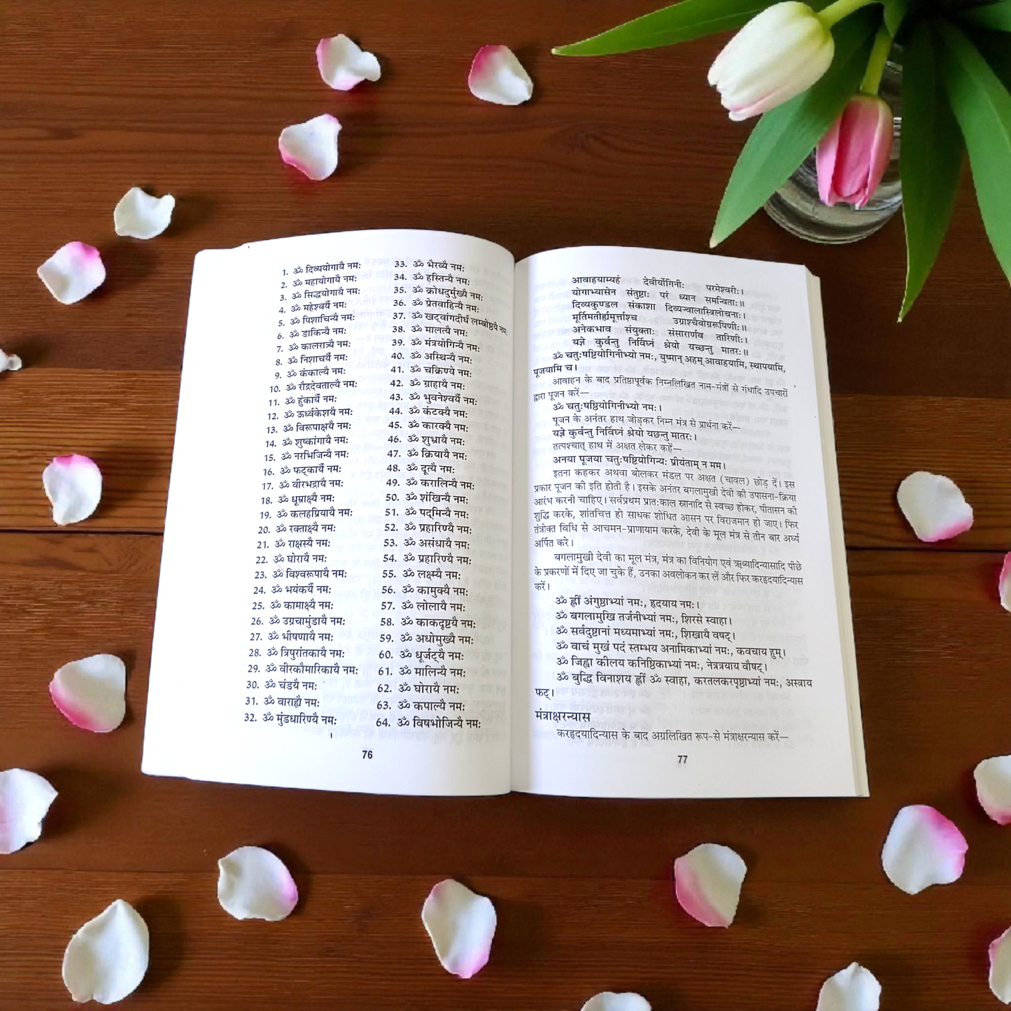 Cover of Bagalamukhi Tantra Sadhna and Siddhi in Hindi Book by MALAWALA – guide for advanced Tantric sadhana and spiritual empowerment